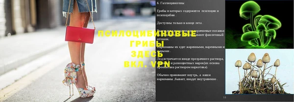дживик Балабаново