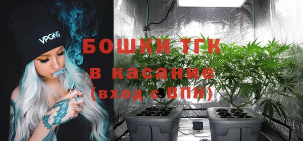 ПСИЛОЦИБИНОВЫЕ ГРИБЫ Балахна